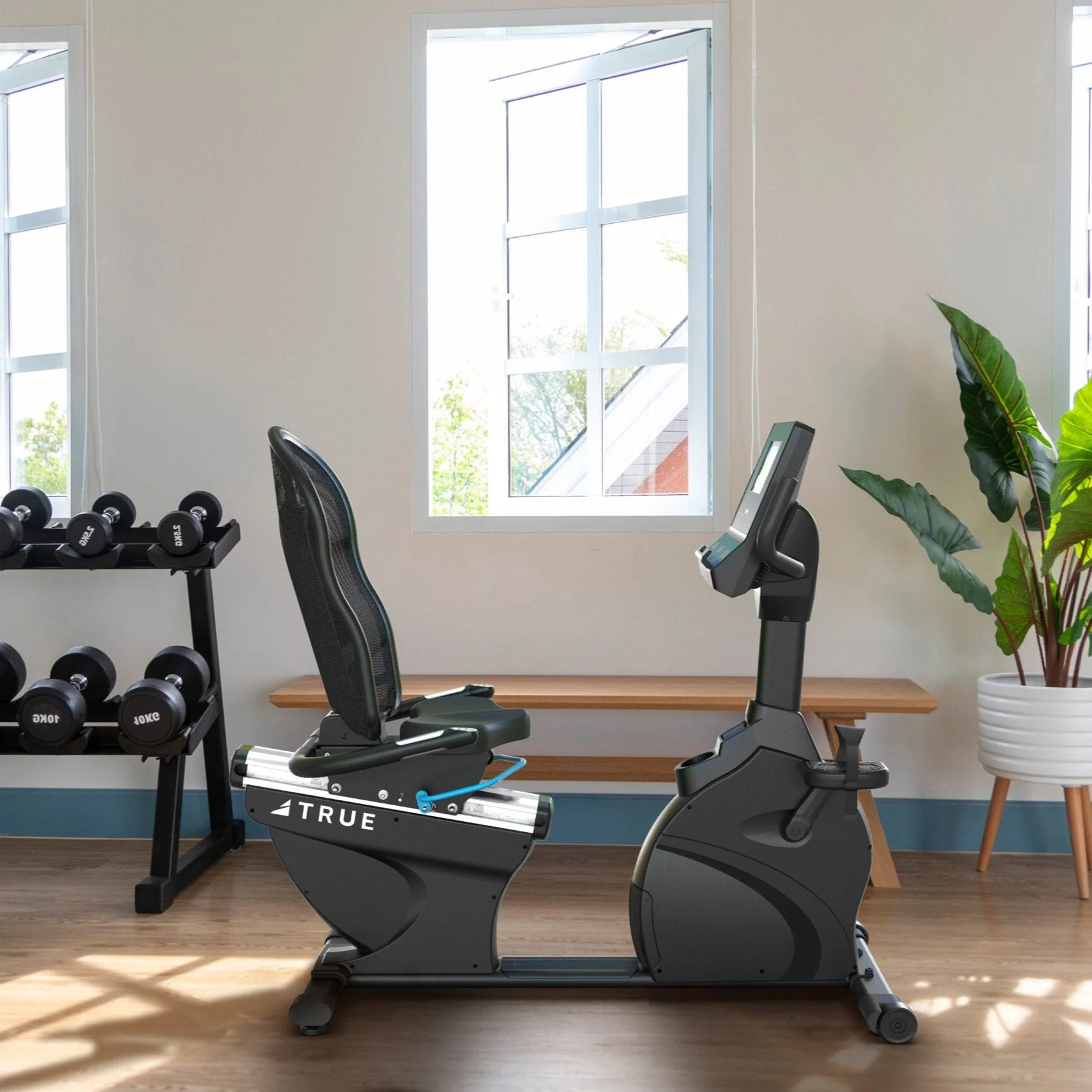 Performance Series Recumbent Bike - Image 6